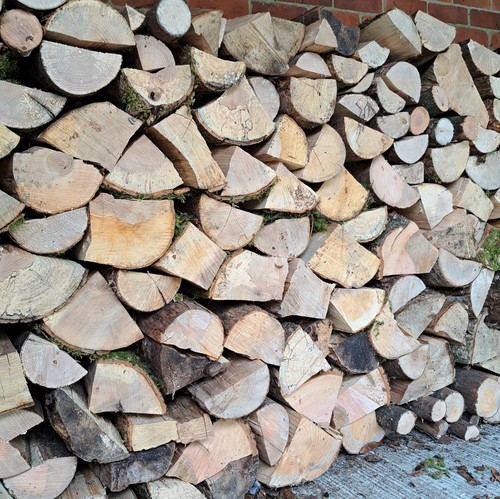 Firewood pure welsh ash - firewood,