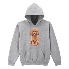 Poodle Dog Poodle Animals Kids