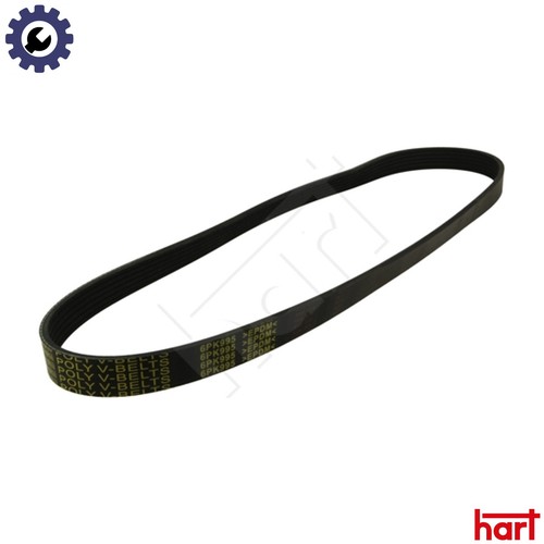 Vribbed belt 369 002 for - belt, skoda
