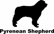 Pyrenean mountain dog - mountain,
