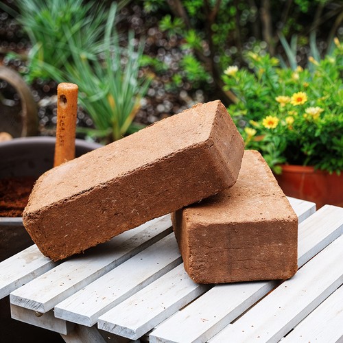 12pcs organic coco - organic, coir