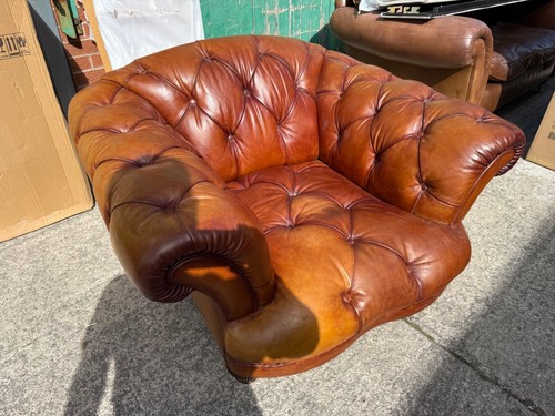 Tetrad oskar chestnut brown - tetrad,