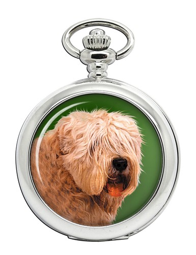 Soft coated wheaten terrier - soft,