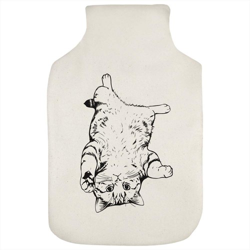 Upside tabby cat - cat', hot