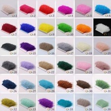 High quality ostrich feather - ostrich,