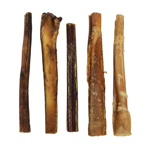 Bulls pizzles bully sticks - bulls,