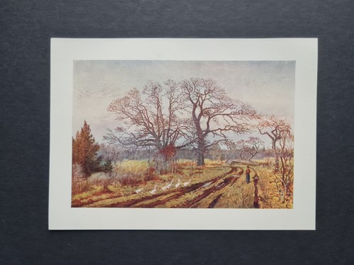 Antique 1907 print early - antique,