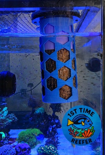Nori algae feeder for - nori, dd