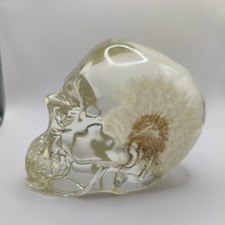 Homemade Resin Large dandion