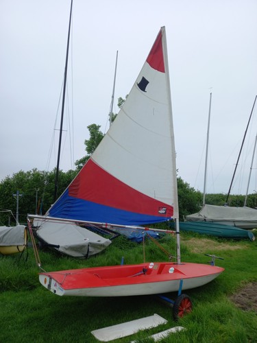 Topper sailing dinghy - sailing,