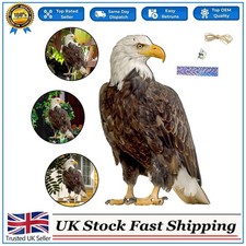 Hawk Bird Scarer Set Pigeon