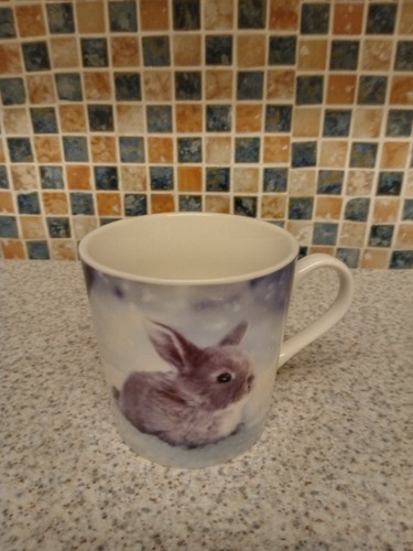 Baby bunny rabbit fine - s,