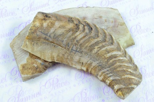 New pair rams horn - new, knife