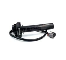 Domino Ride by Wire Racing