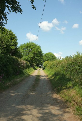 Photo 12x8 footpath manna - photo,