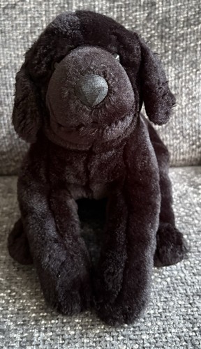 Animal alley black labrador - alley,