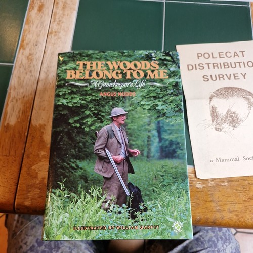 The woods belong a - the,