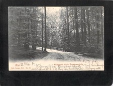 B9004 Germany Kiel Forest Porsthaumschule pu1904 vintage postcard