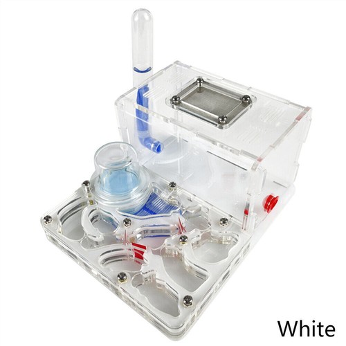 Acrylic bio ant nest - acrylic,