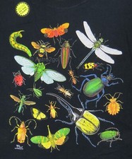 GLOW BUGS-Butterfly Beetles