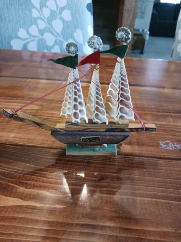 Vintage shell boat - shell, ship