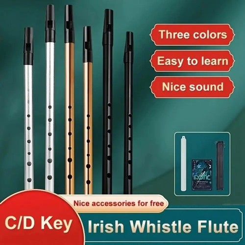 Irish whistle flute key - c/d,