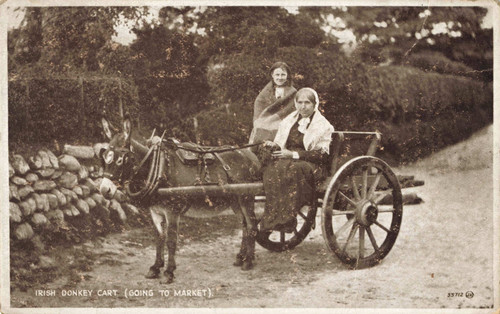 Irish donkey cart - irish,