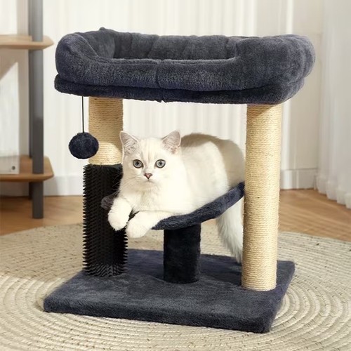 Cat scratching post - cat,