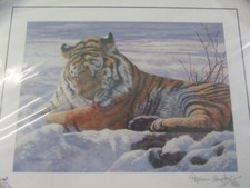 Limited Edition Signed Stephen