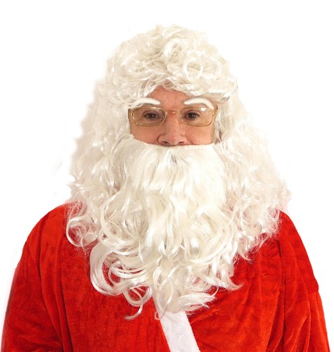 Adults santa claus - adults, wig