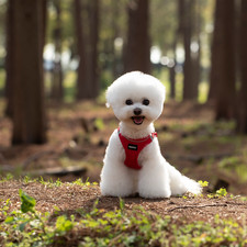 Small Dog Breathable Mesh Harness Soft Puppy Vest Chest Strap XXXS-L SGS UK POST