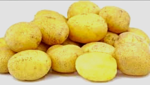 10x certified seed potatoes - seed,