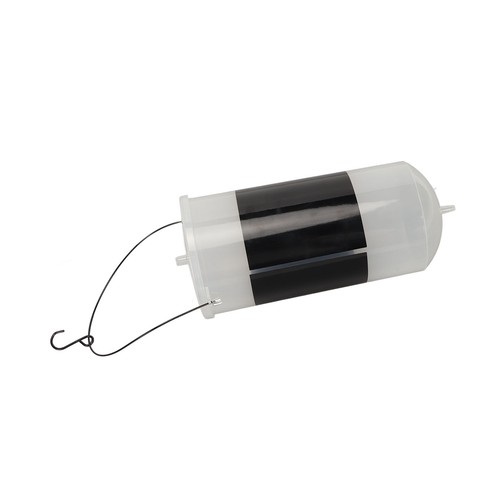 Brine shrimp eggs red artemia - brine,