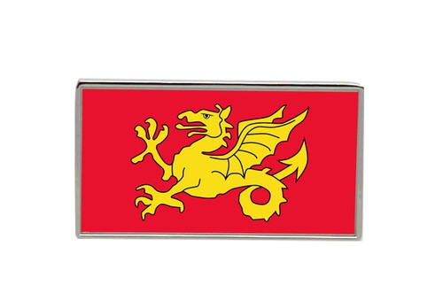 Wessex flag lapel - (england),