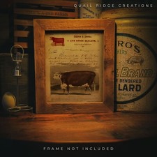 Vintage Hereford Cow Cattle