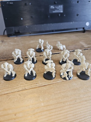 Warhammer 40k rogue - 40k, trader