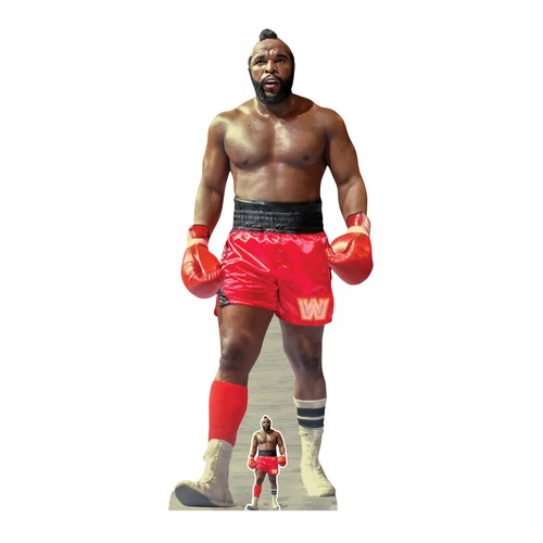 Official wwe lifesize - mr, t