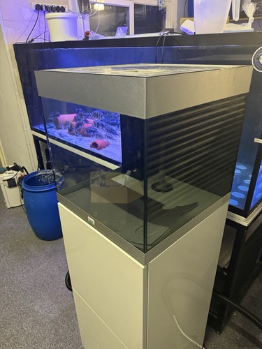 Oase styleline 125 - 125, aquarium