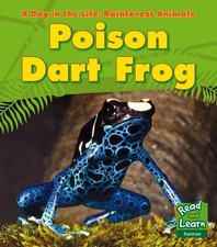 Poison Dart Frog (A Day in the