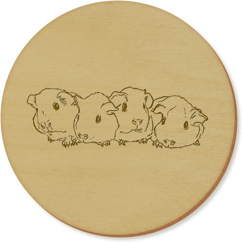 Baby guinea pigs coaster - 'baby,