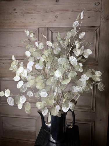 Large bunch dried - large,