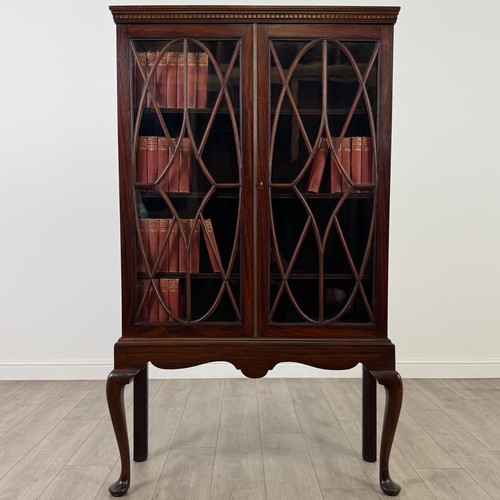 Antique 20th century display - 20th,