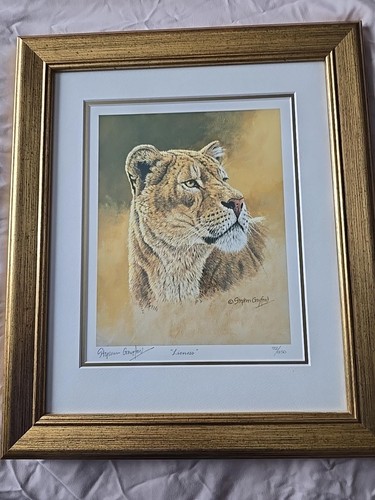 Stephen grayford wildlife - grayford,