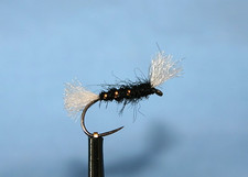 Shipman's Buzzer, Pack of 3