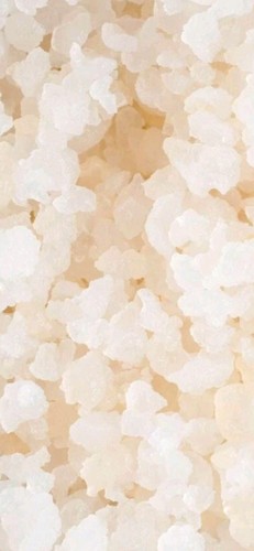 Milk kefir grains - ,