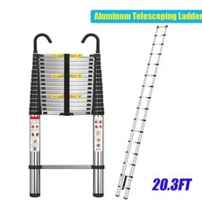 Folding Extendable Ladder