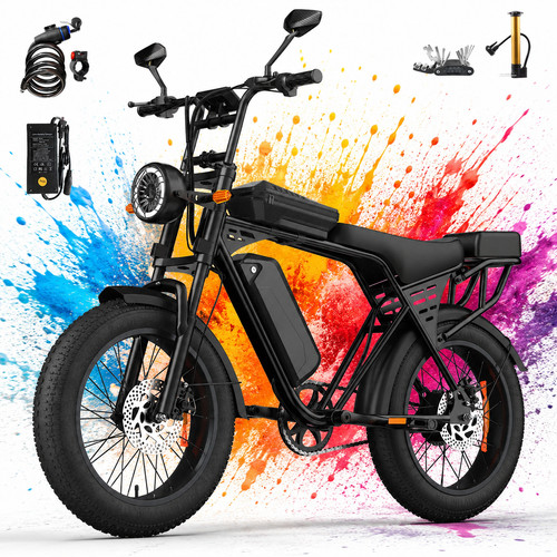 Aairsk 250w electric - x5, 20"