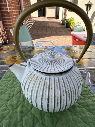 Cast iron japanese teapot - cast,