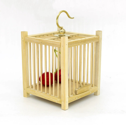 Insect arboreal enclosure - insect,