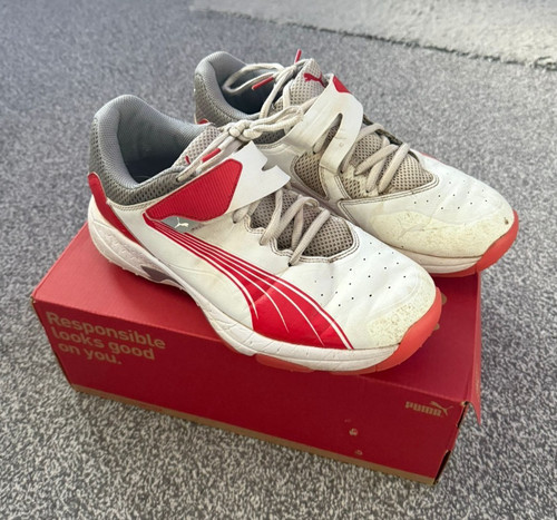 Puma cricket bowling 1 - cricket, 24.1